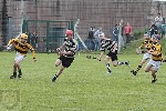 Fe13CountyHurlingfinal2013-1