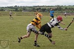 Fe13CountyHurlingfinal2013-21