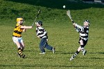 NaPairsaigh05